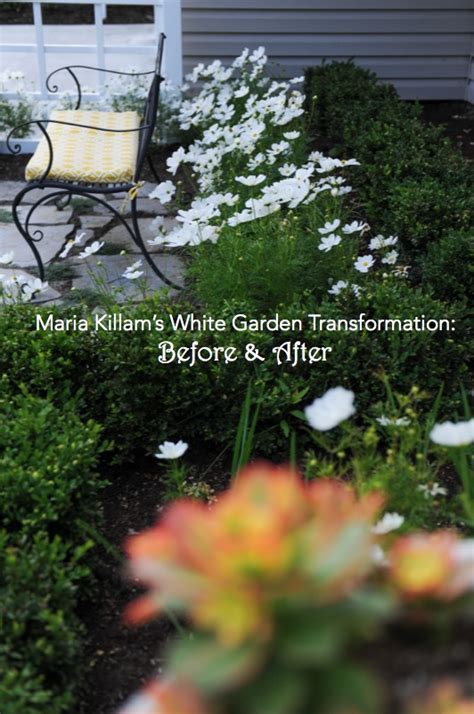 Maria Killam S White Garden Transformation Before After