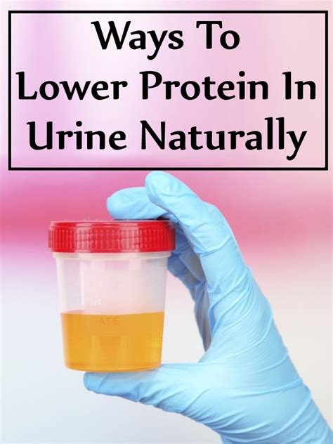 5 Simple Ways To Lower Protein In Urine Naturally | Find Home Remedy ...