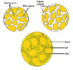Cementation (biology), the process whereby some sessile bivalve mollusks (and some other shelled invertebrates) attach themselves permanently to a hard substrate. Cementation - My Learning Journey
