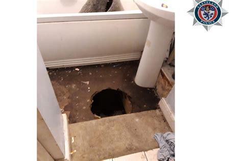 Fugitive Hides From Police In Hole In The Bathroom Floor Hartlepool Mail