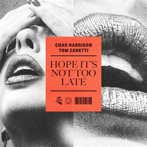‎hope Its Not Too Late Single By Chad Harrison And Tom Zanetti On