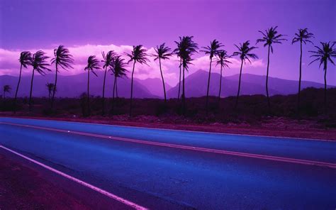 Nature Landscape Sunset Palm Trees Road Purple Wallpapers Hd