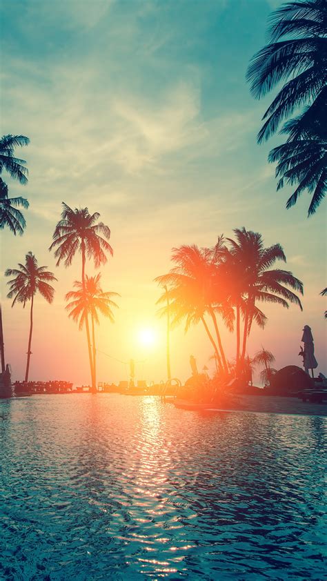 tropical sunset wallpapers 4k hd tropical sunset backgrounds on wallpaperbat