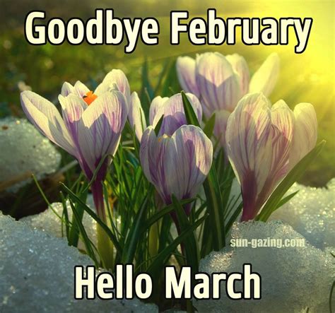 Pin By Virginia Reimer On Beginnings Hello March Hello March Quotes