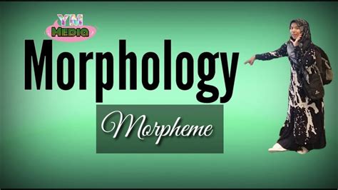The two categories are free & bound morphemes, the morphemes that carry the content or meaning of the messages that we are conveying. Morphology : morpheme, allomorph, root , and stem - YouTube
