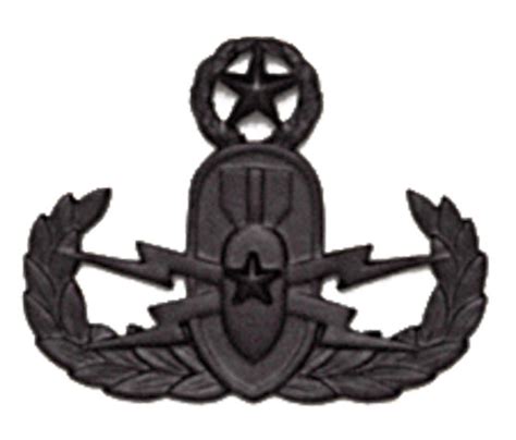 Army Badge Master Explosive Ordnance Disposal Black Metal Northern