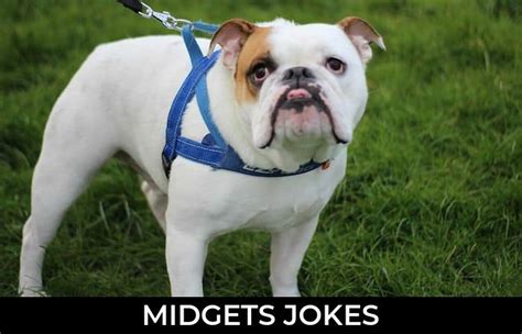 67 Midgets Jokes To Make Fun Jokojokes