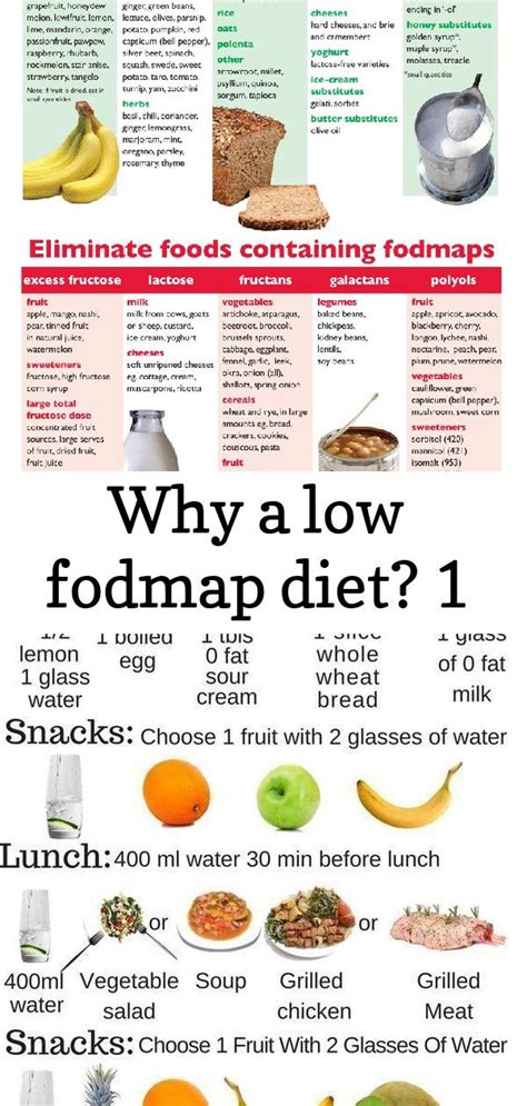 why a low fodmap diet 1 fodmap diet fodmap diet chart low fodmap diet