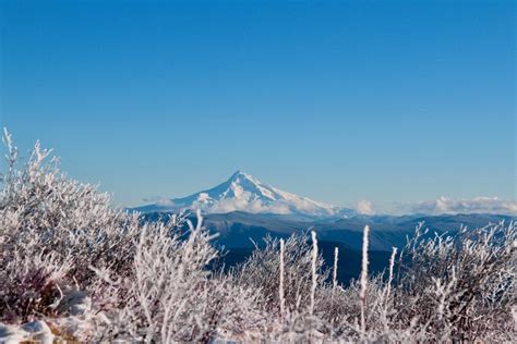 Silver Star Mountain Skamania County Washington Weather Forecast 1330m