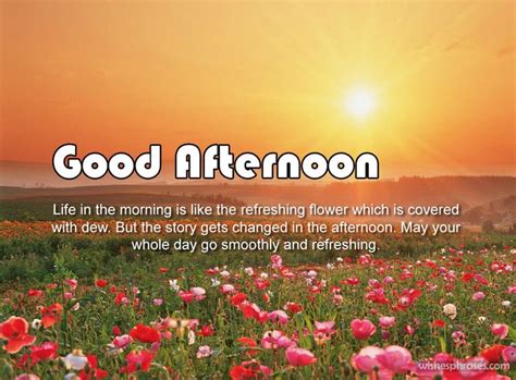 Good Afternoon Quotes Sms Greetings For Friends And Loved Ones Good