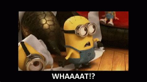 Minion Whaaat S Find And Share On Giphy