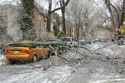 20 Frozen Photos Of The Ice Storm Aftermath In Toronto