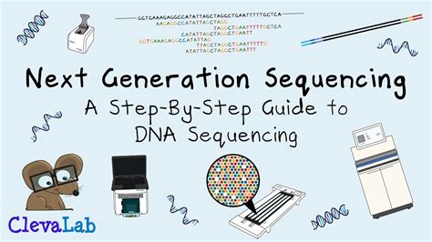 Next Generation Sequencing A Step By Step Guide To Dna Sequencing