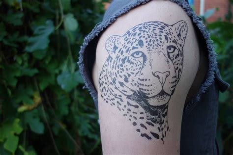 Cheetah Scratch Tattoo Designs