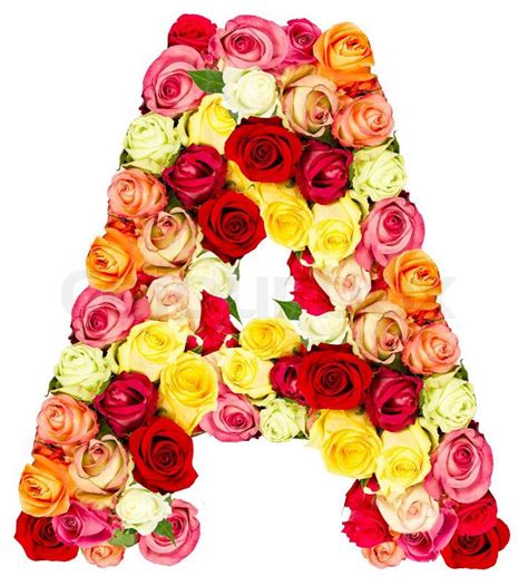 A Roses Flower Alphabet Isolated On White Stock Photo Colourbox