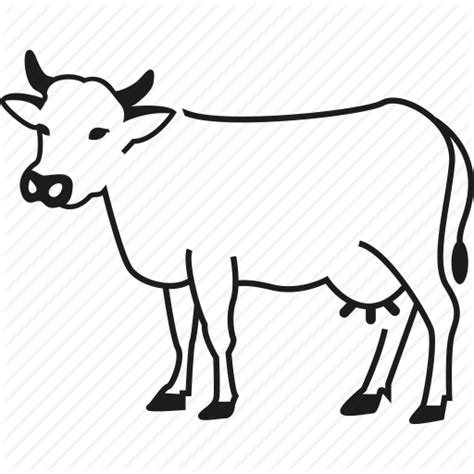 Dairy Cow Drawing Free Download On Clipartmag