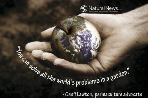 Computer languages, frameworks, and algorithms are tools that you can learn by studying. You can solve all the world's problems in a garden ...