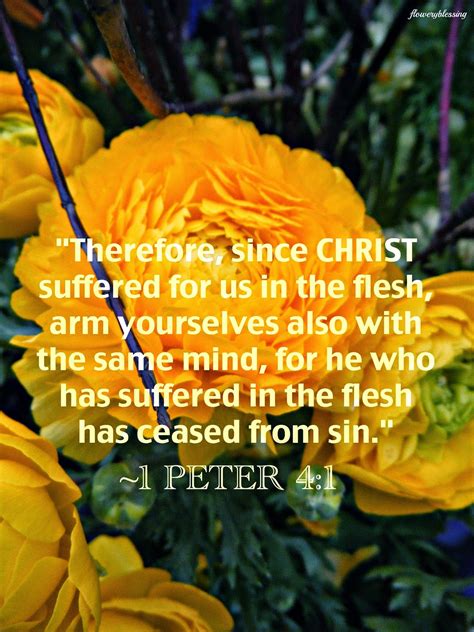 Flowery Blessing Therefore Since Christ Suffered For Us In The Flesh