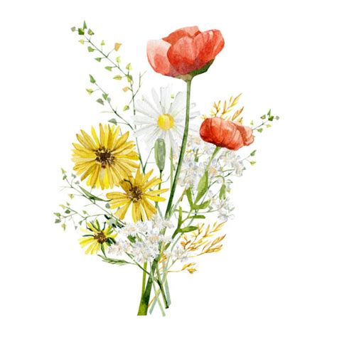 Bouquet Of Wild Flowers Illustrations Royalty Free Vector Graphics