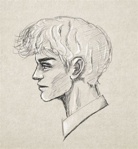 Man Head Drawing Side View Hairstyle Side View Drawing Human Figure