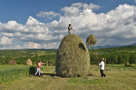 Romania population is equivalent to 0.25% of the total world population. Romania's Countryside: A Land that Time Forgot by Rick Steves
