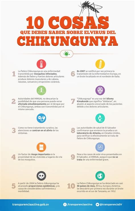 Chikungunya Llegará A Todo El País “es Cuestión De Tiempo” Ssa