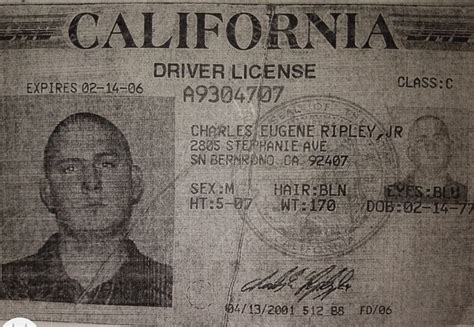 Pin By Maria J On Drivers License California Drivers License