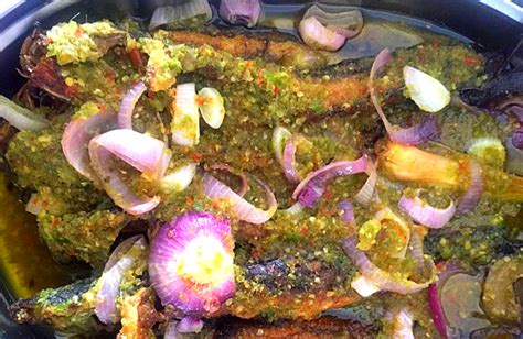 Selain itu, terung jenis ini juga boleh digoreng sahaja dan dicicah dengan sambal belacan. Resepi Ikan Keli Goreng Sambal Berlada Hijau