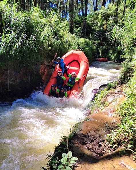 Muara Rahong Hills Camping Seru Di Tepi Sungai Dan Hutan Pinus