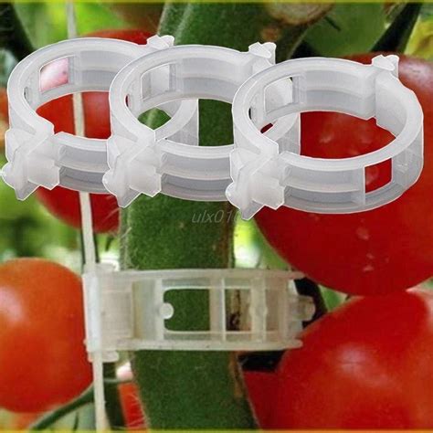 10pcs Tomato Clips Trellis Vegetable Binder Twine Garden Plant Support