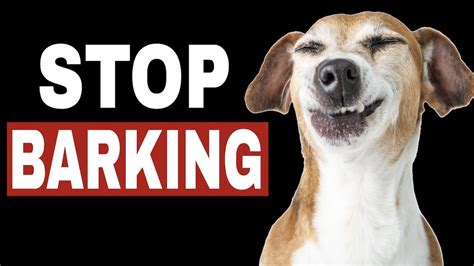 Sounds To Stop Dog Barking Hq Youtube