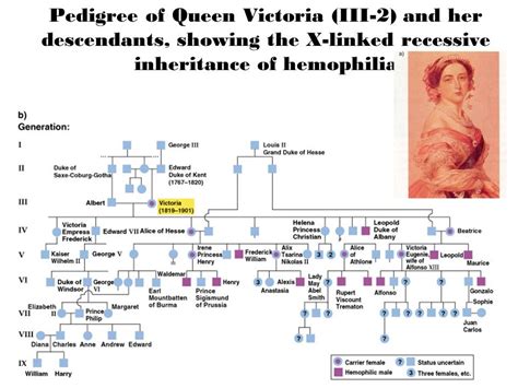 The world federation of hemophilia (wfh) is committed to bringing the bleeding disorders community together in the name of treatment for all. Are there different types of genealogy pedigree chart?