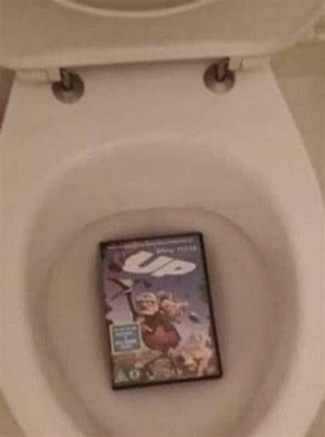 I Threw Up In The Toilet Meme Guy
