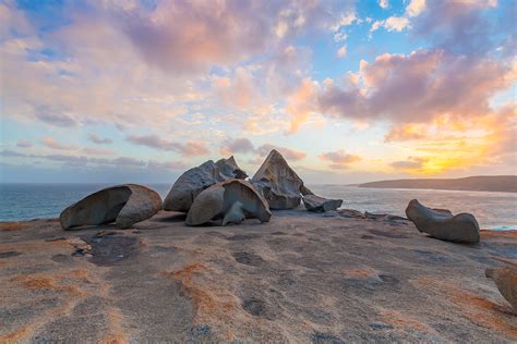 The Magical Kangaroo Island South Australia Larissa Dening Photography