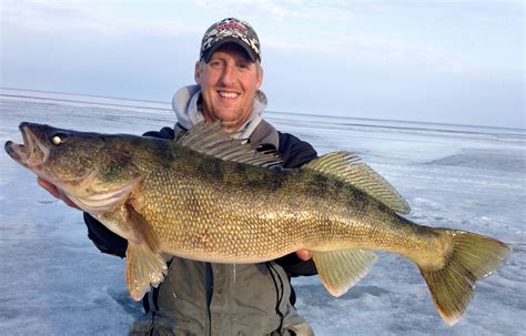 Gallery Trophy Ice Fishing