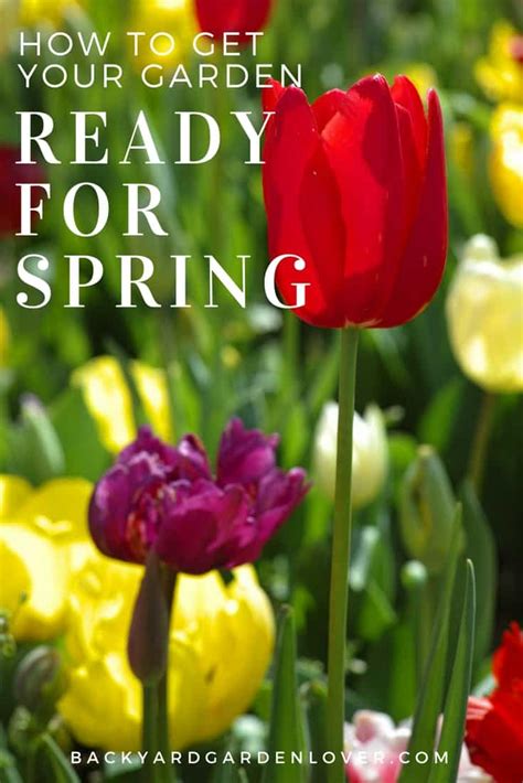 How To Get Your Garden Ready For Spring 9 Easy Ways