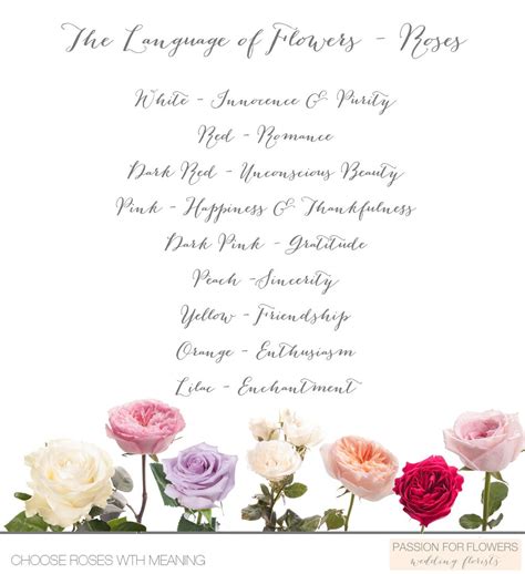 The Language Of Flowers Meanings Of Flowers Roses Flower Meanings