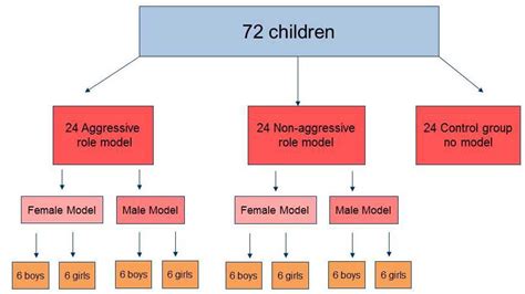 Bobo Doll Experiment Simply Psychology Bobo Doll Experiment Social