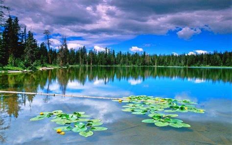 Nature Landscape Lake Forest Reflection Clouds Water Green Blue