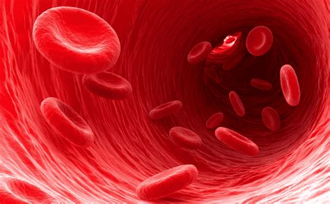 Shape Shifting Red Blood Cells Respond To Shear Forces Physics World