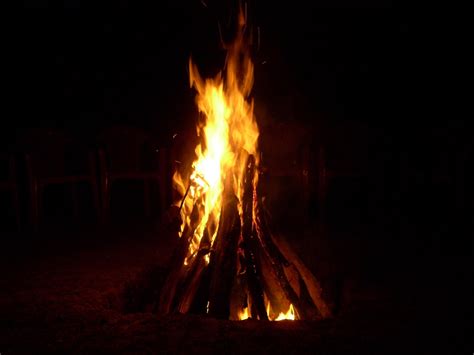 Campfire 2 Photo File 1443353