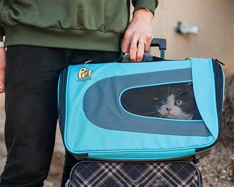 The 13 Best Cat Carriers For All Your Travel Needs Chattersource