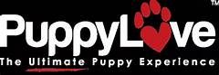 Puppy Love On Craigslist Baltimore How To Find Your Furever Friend Without Breaking The Bank