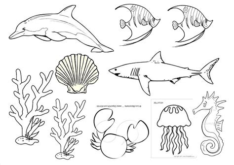 Lukisan Gambar Hidupan Laut Kartun Cara Menggambar Pemandangan Alam Riset