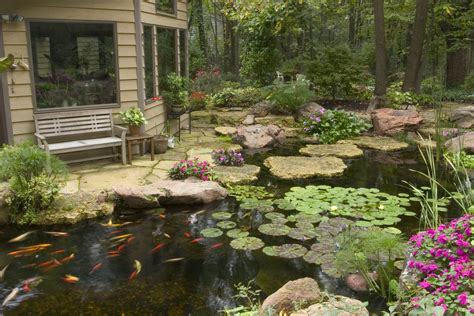 Aquascapes Pond System Ponds Backyard Backyard Water Feature Water