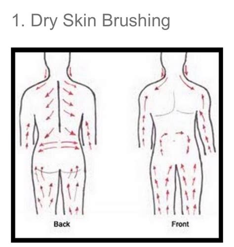 Dry Brushing Lymphatic System Dry Brushing Skin Dry Brushing