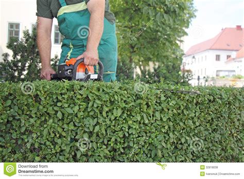 Man Trimming Hedge2 Stock Photo Image Of Mower Outdoors