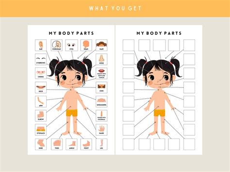 Body Parts Matching Activity Printable Busy Book Pages Etsy
