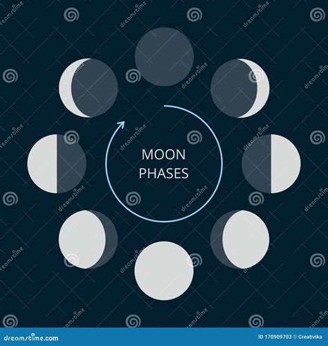 Moon Phases Icons Stock Vector Illustration Of Astronomy 170909703