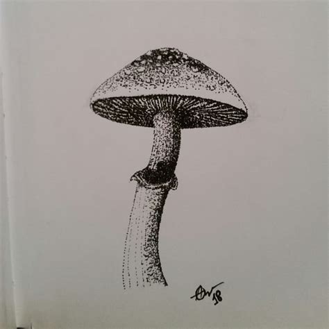 Currently the app has more than 1,000+ app installations and average rating of 5.0 and up. Untitled — Mushroom Doodles #penart #stipling #doodle...